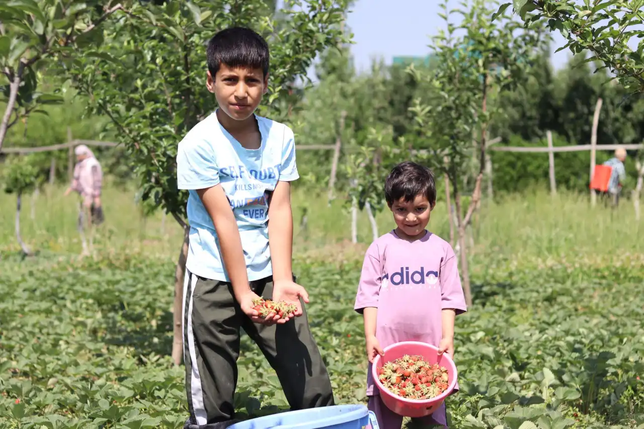 上海消费品市场调研与竞品分析中的数据采集方法解析封面图