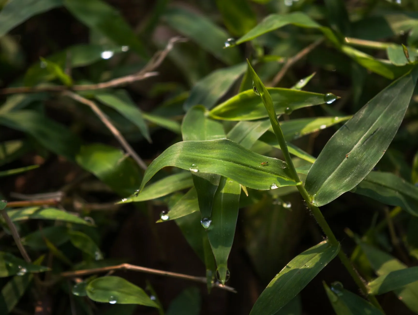 上海消费品市场调研与竞品分析服务能力全解析