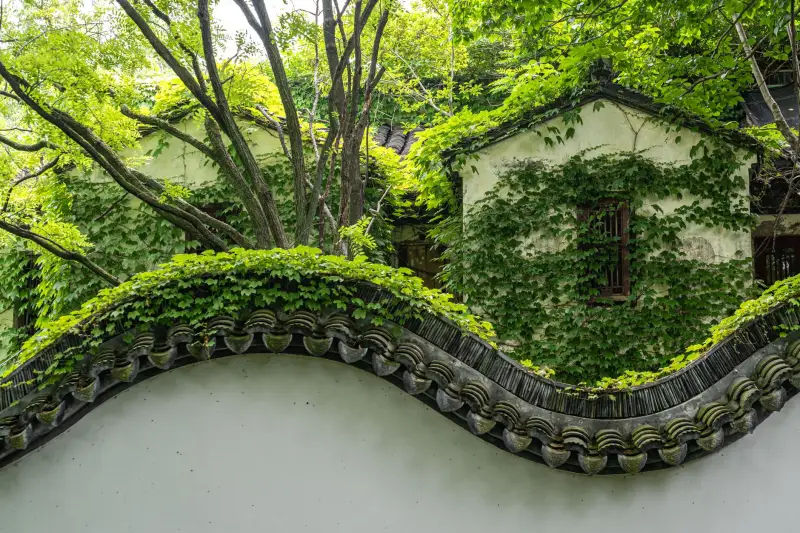 消费品企业如何通过市场调研与竞品分析精准定位目标市场