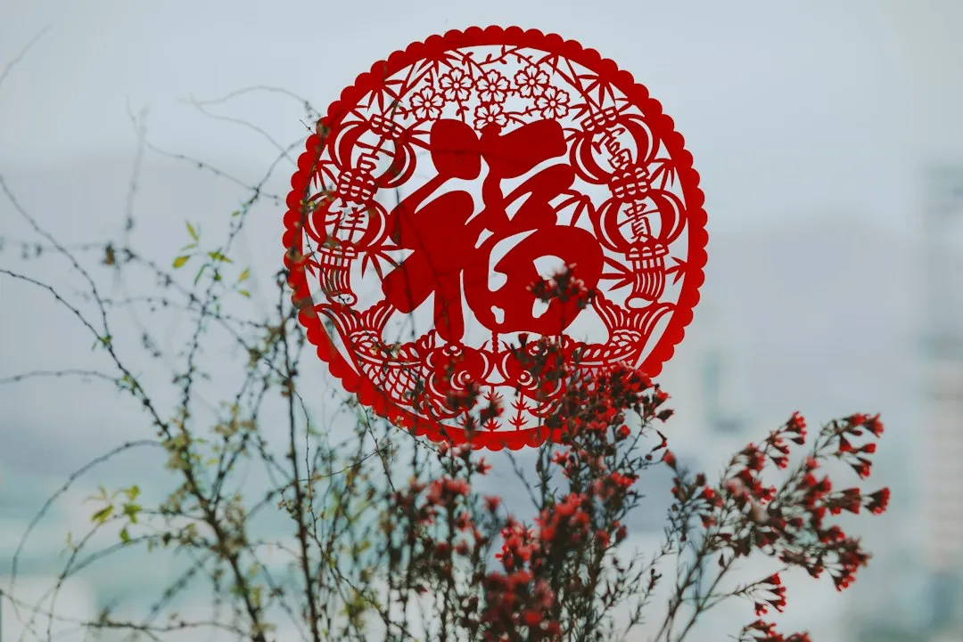 消费品竞品分析对比：德聚木助力华东企业定位差异化优势